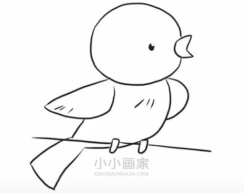 绘本故事停在电线上的小鸟简笔画画法图片步骤