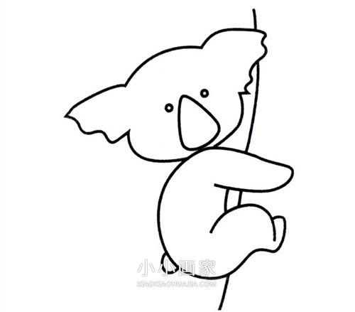 简单考拉简笔画画法图片步骤步骤5