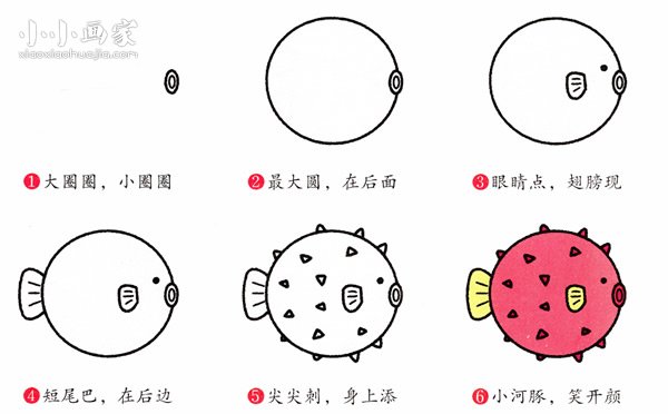 绘本故事可爱染色河豚简笔画画法图片步骤