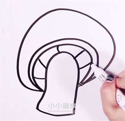 两只卡通蘑菇的简笔画画法图片步骤步骤4