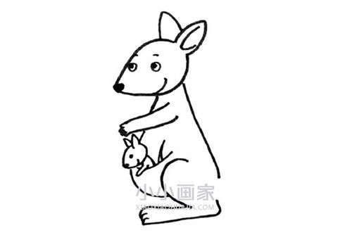 袋鼠妈妈和小袋鼠简笔画画法图片步骤步骤5