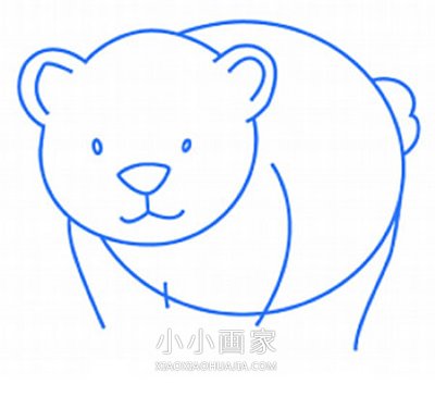 卡通北极熊简笔画画法图片步骤步骤4