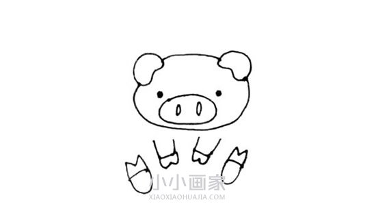 坐姿小猪简笔画画法图片步骤步骤6