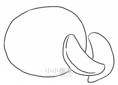 黑白橘子简笔画画法图片步骤步骤4