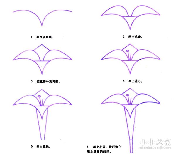 百合花花图式图片