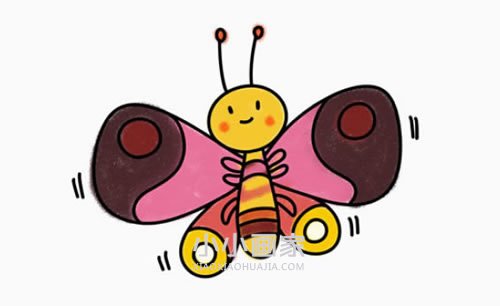 绘本故事彩色的卡通蝴蝶简笔画画法图片步骤