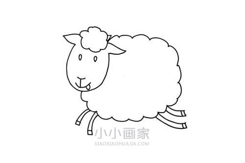 奔跑的小羊简笔画画法图片步骤步骤5