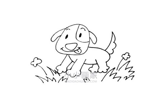 草丛中的小狗简笔画画法图片步骤步骤8