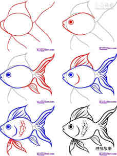 美丽的金鱼简笔画画法图片步骤步骤1