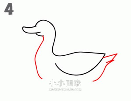 水中游的鸭子简笔画画法图片步骤步骤4
