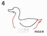 水中游的鸭子简笔画画法图片步骤步骤4
