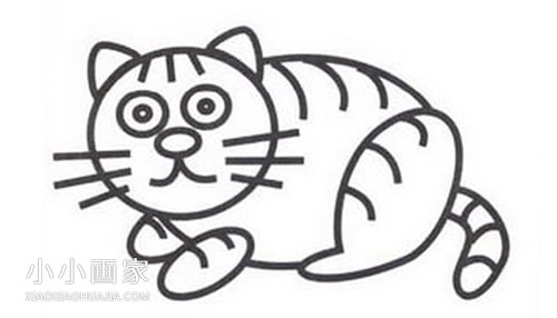 趴伏的小黄猫简笔画画法图片步骤步骤5