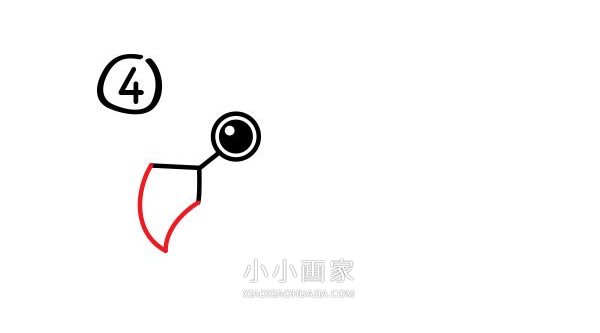 飞起的鹦鹉简笔画画法图片步骤步骤5