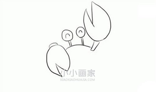开心螃蟹简笔画画法图片步骤步骤3