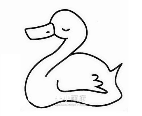 绘本故事游泳的小鸭子简笔画画法图片步骤