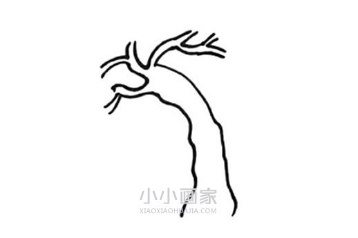 春天柳树简笔画画法图片步骤步骤3