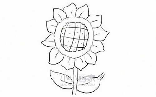 绘本故事简单向日葵简笔画画法图片步骤