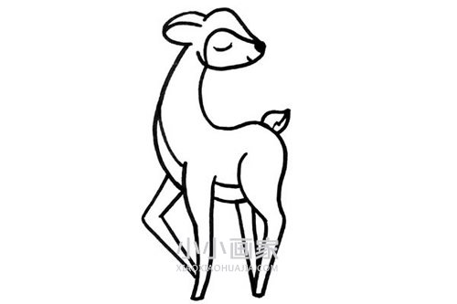 美丽梅花鹿简笔画画法图片步骤步骤6