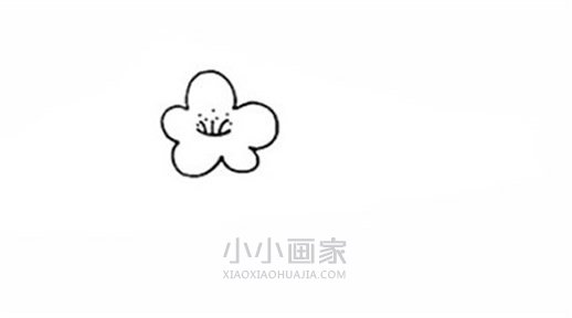 彩色梅花简笔画画法图片步骤步骤2