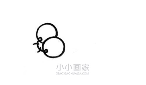 彩色蜻蜓简笔画画法图片步骤步骤3