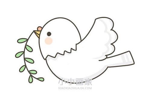 绘本故事叼树枝和平鸽简笔画画法图片步骤