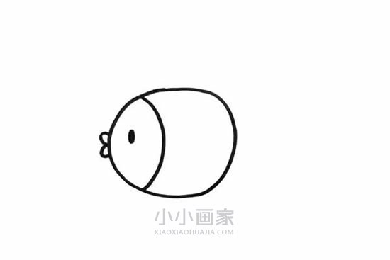 两条可爱小鱼简笔画画法图片步骤步骤3