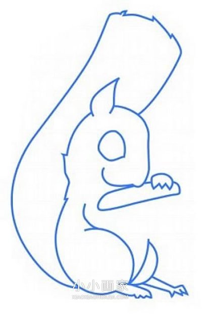 彩色松鼠简笔画画法图片步骤步骤4