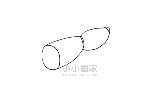 两个莲藕简笔画画法图片步骤步骤3