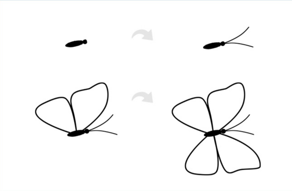 蓝色花蝴蝶简笔画步骤画法教程步骤1