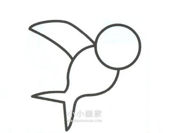 空中的燕子简笔画画法图片步骤步骤3