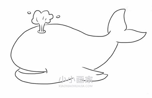 简单鲸鱼简笔画画法图片步骤步骤6