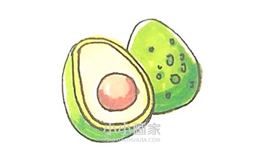 绘本故事彩色牛油果简笔画画法图片步骤