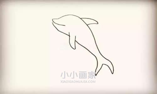 跃出水的海豚简笔画画法图片步骤步骤4