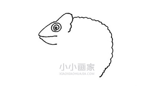 树枝上的变色龙简笔画画法图片步骤步骤3