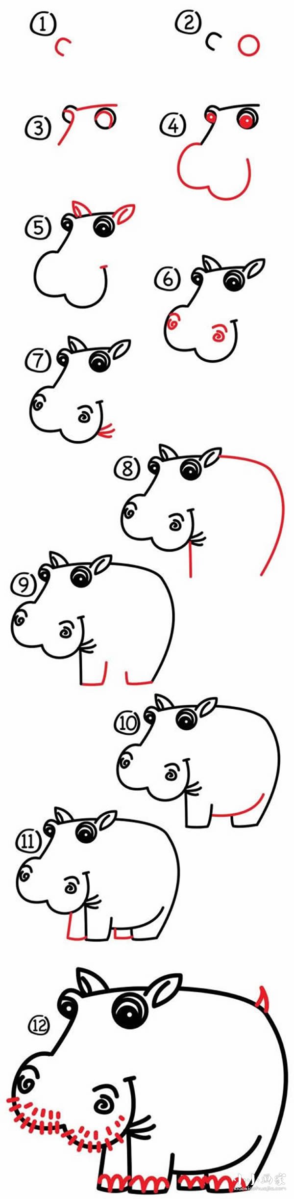 绘本故事笨笨河马简笔画画法图片步骤