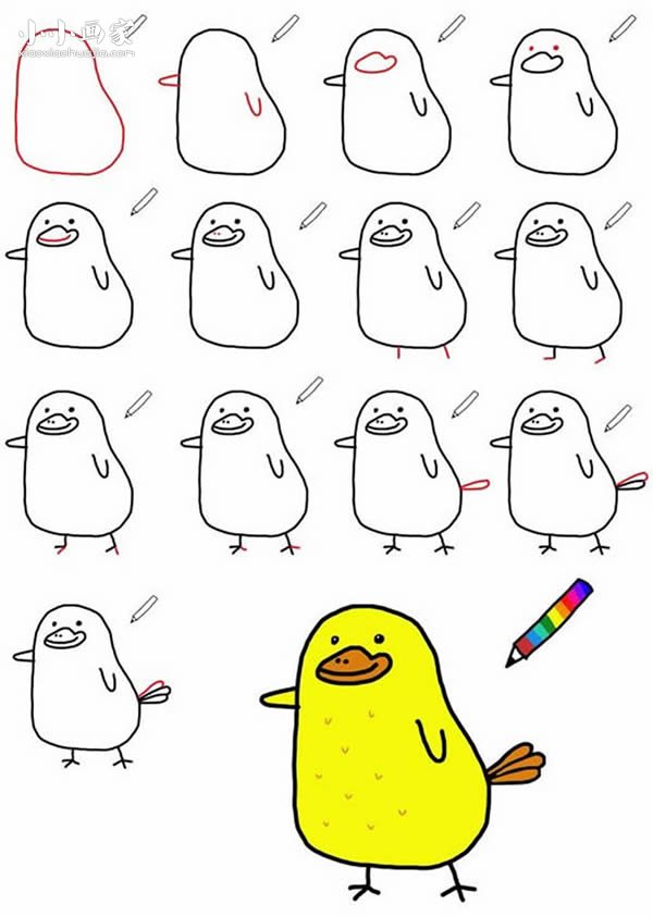 可爱的小鸟简笔画画法图片步骤