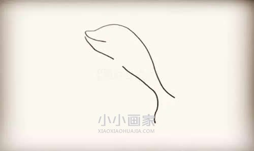 跃出水的海豚简笔画画法图片步骤步骤3