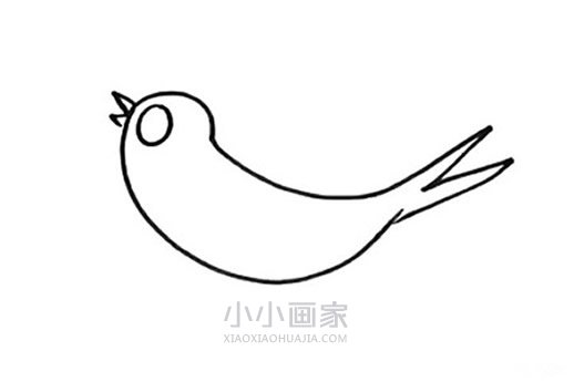 春天小燕子简笔画画法图片步骤步骤5