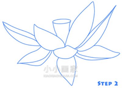 美丽莲花简笔画画法图片步骤步骤2