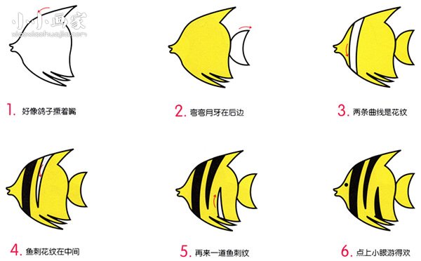 绘本故事漂亮热带鱼简笔画画法图片步骤