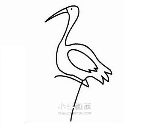 简单丹顶鹤简笔画画法图片步骤步骤2