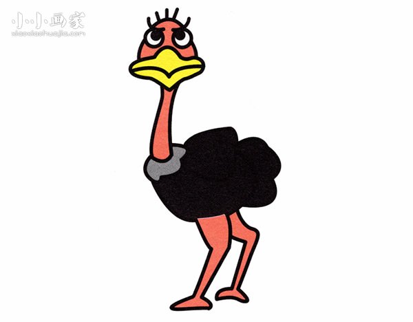 卡通鸵鸟简笔画画法图片步骤步骤1