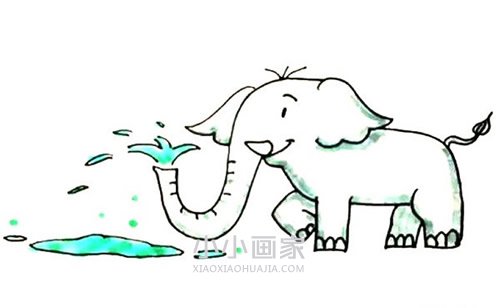 绘本故事玩水的大象简笔画画法图片步骤