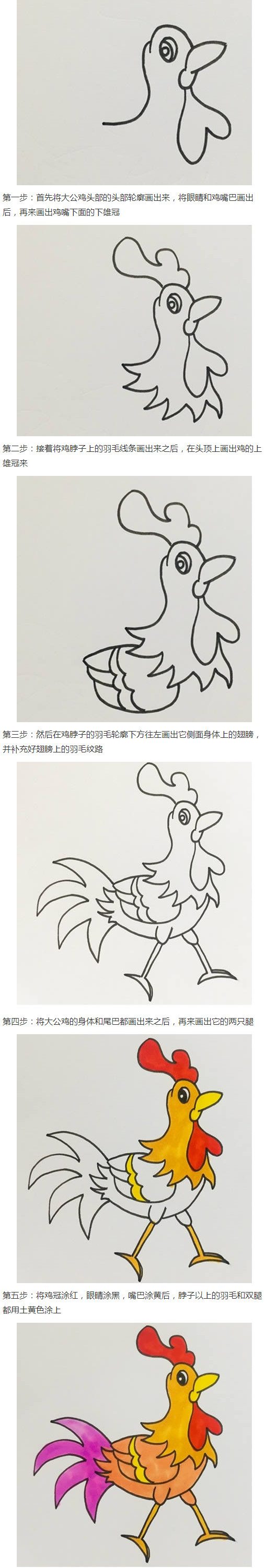 大公鸡怎么画涂色简单又漂亮带步骤步骤1