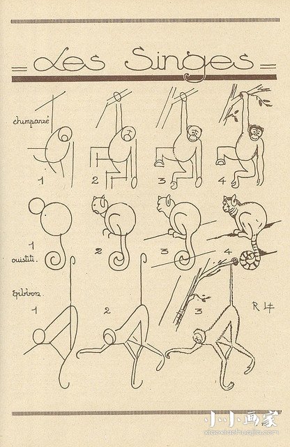 绘本故事树上的猩猩和猴子简笔画画法图片步骤