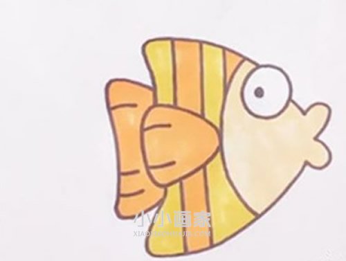 绘本故事卡通热带小鱼简笔画画法图片步骤
