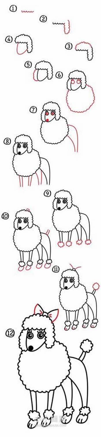 绘本故事漂亮贵宾犬简笔画画法图片步骤