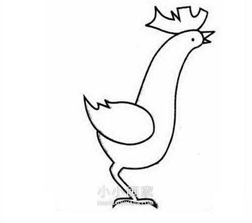 打鸣公鸡简笔画画法图片步骤步骤3