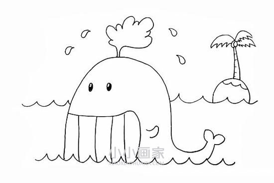 笑嘻嘻的鲸鱼简笔画画法图片步骤步骤8