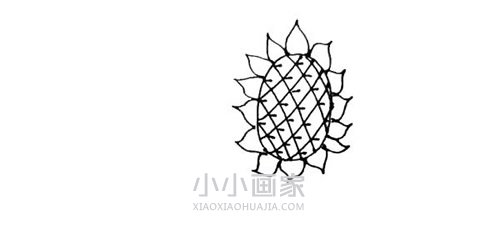 两棵向日葵简笔画画法图片步骤步骤6
